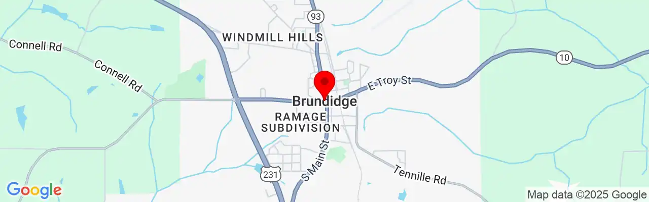 Brundidge, AL, Alabama 36010