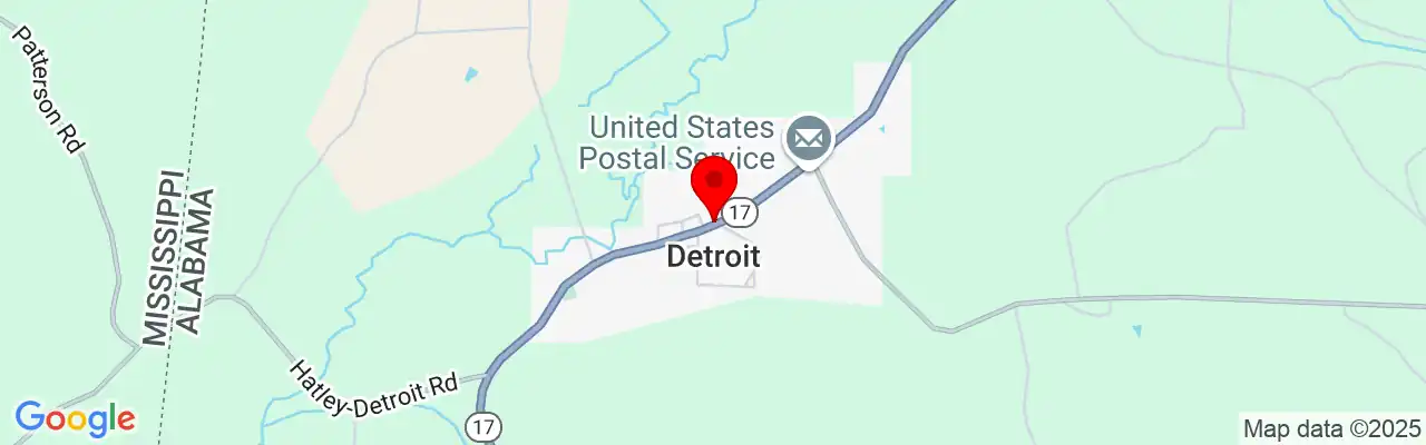 Detroit, AL, Alabama 35552