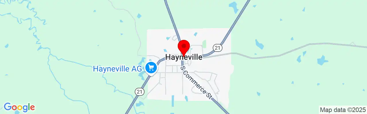 Hayneville, AL, Alabama 36040
