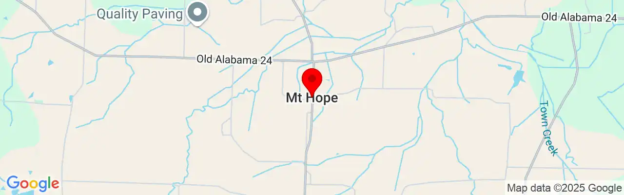 Mount Hope, AL, Alabama 35651