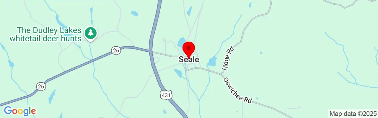 Seale, AL, Alabama 36875