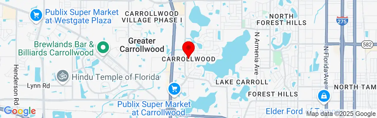 Carrollwood, FL, Florida