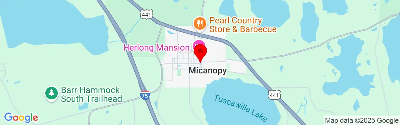 Micanopy, FL, Florida