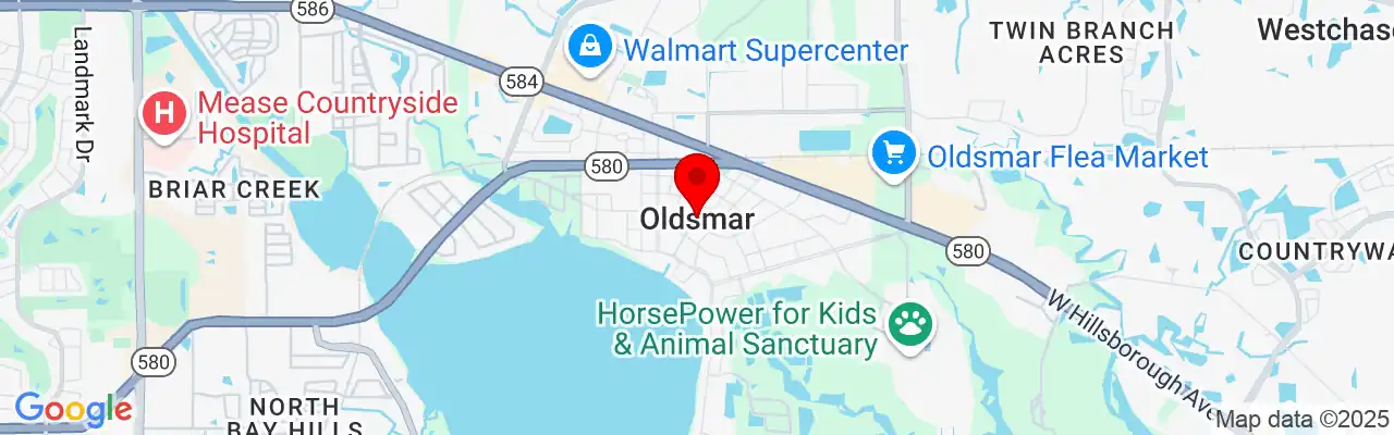 Oldsmar, FL, Florida