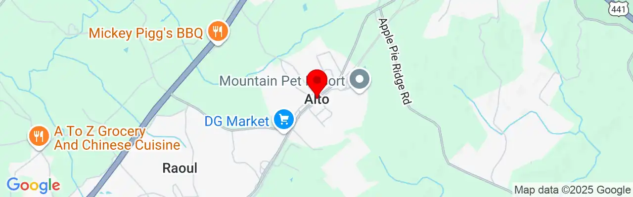 Alto, GA, Georgia