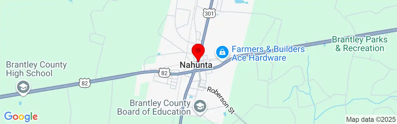Nahunta, GA, Georgia