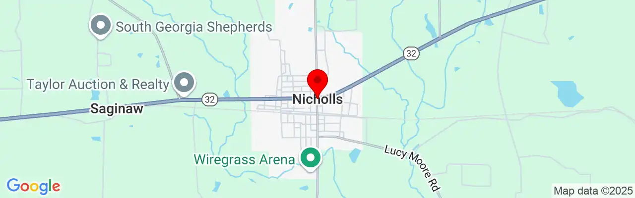 Nicholls, GA, Georgia