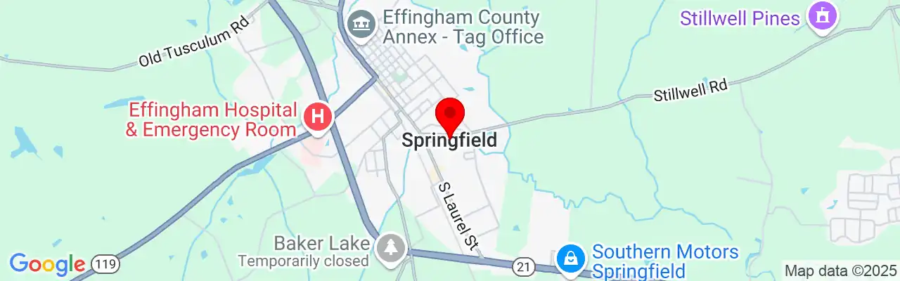 Springfield, GA, Georgia