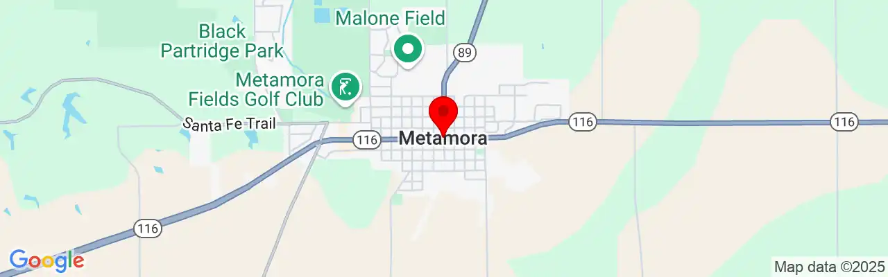 Metamora, IL, Illinois