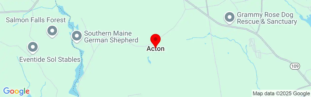 Acton, ME, Maine