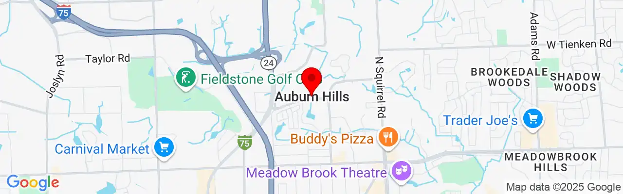 Auburn Hills, MI, Michigan