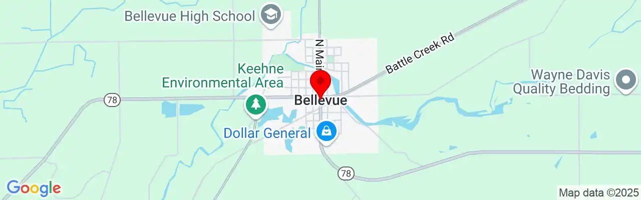 Bellevue, MI, Michigan