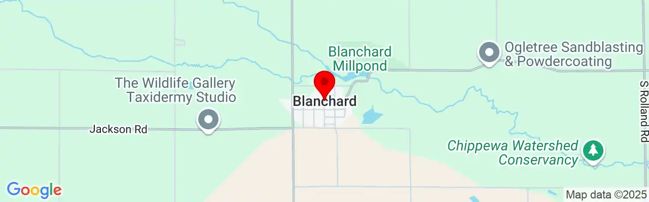 Blanchard, MI, Michigan