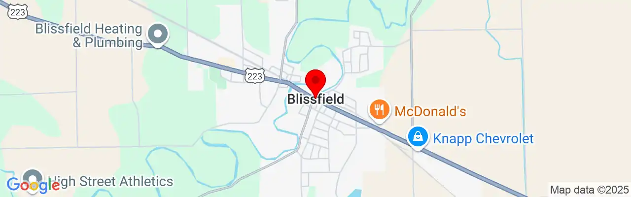 Blissfield, MI, Michigan