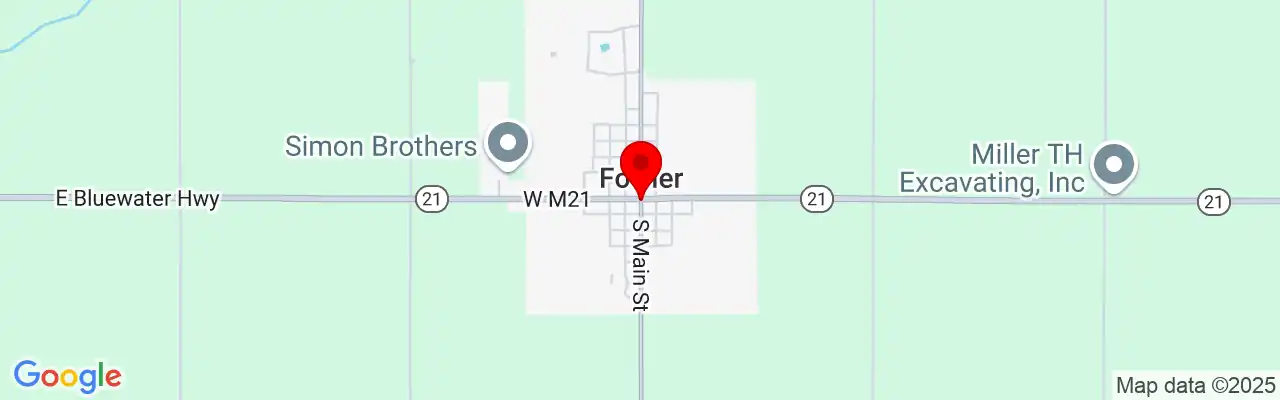 Fowler, MI, Michigan