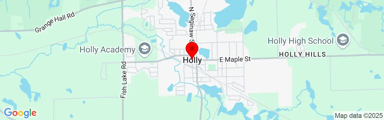 Holly, MI, Michigan