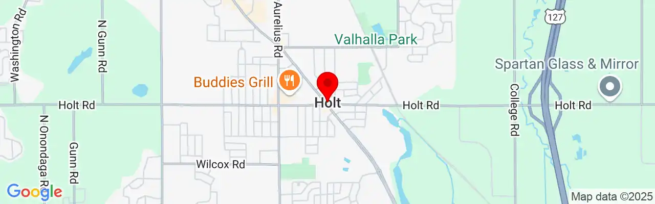 Holt, MI, Michigan
