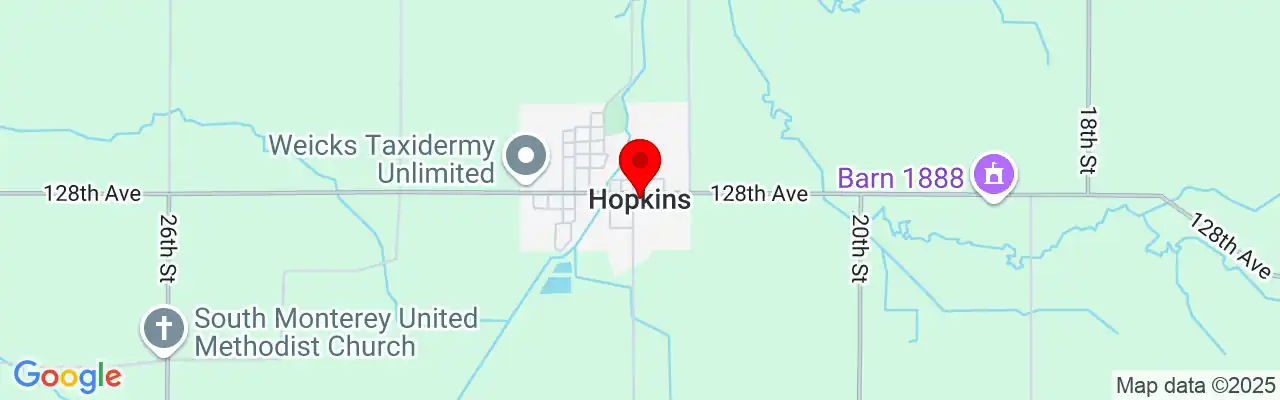 Hopkins, MI, Michigan