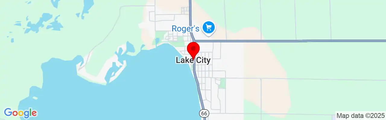 Lake City, MI, Michigan
