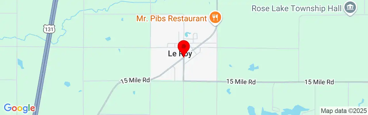 Leroy, MI, Michigan