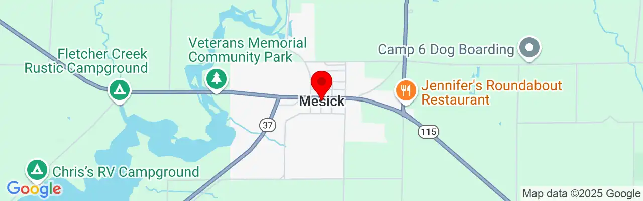 Mesick, MI, Michigan