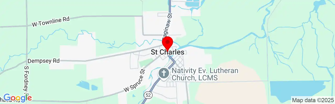 Saint Charles, MI, Michigan