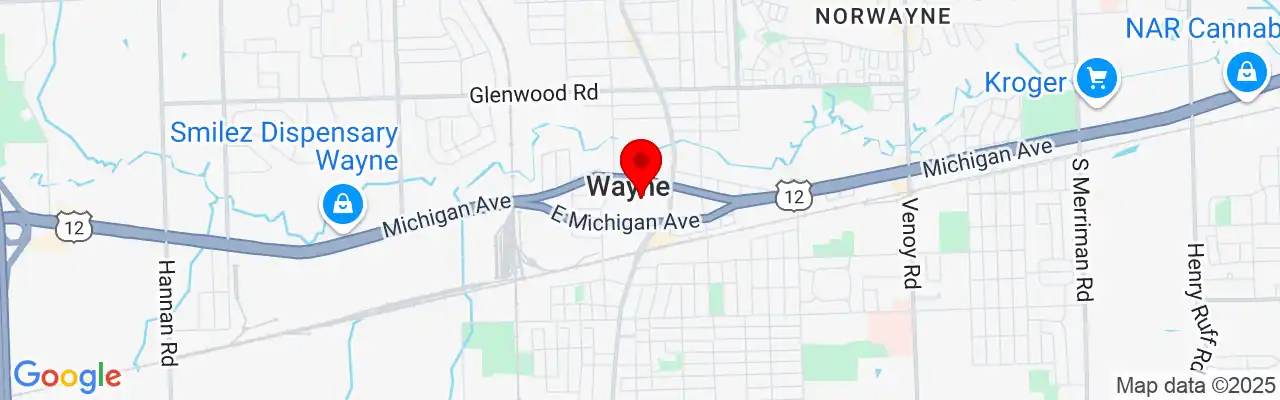 Wayne, MI, Michigan