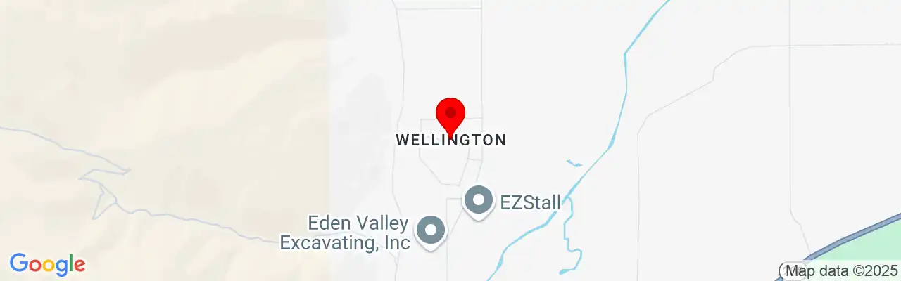 Wellington, NV, Nevada