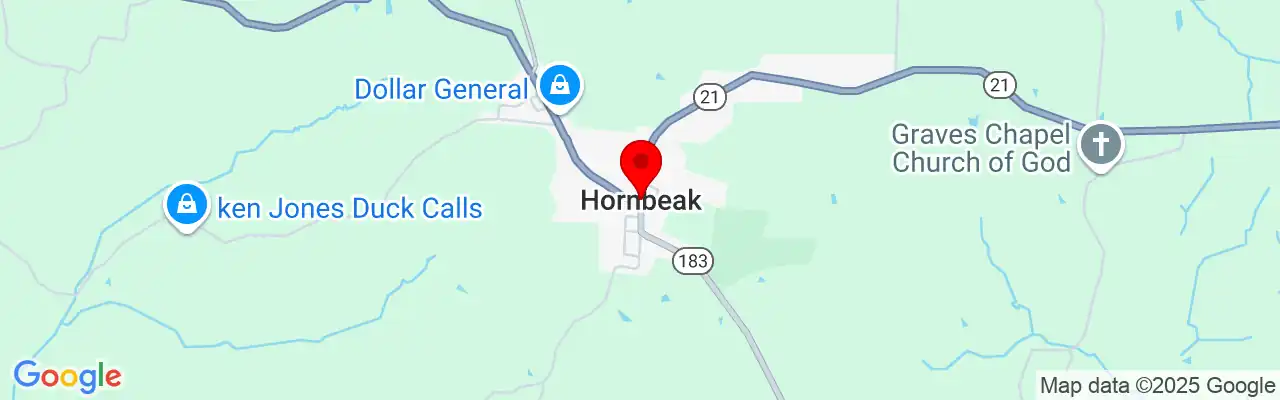 Hornbeak, TN, Tennessee